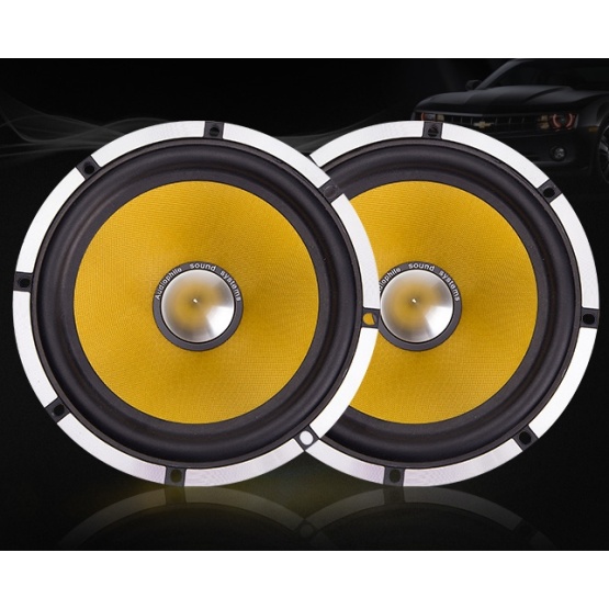 High Quality 6.5 Inch Car Speaker