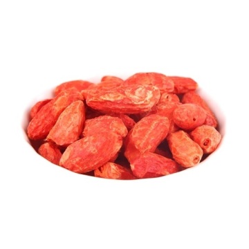 Freeze-dried Goji Berries  Lycium Barbarum Medlar