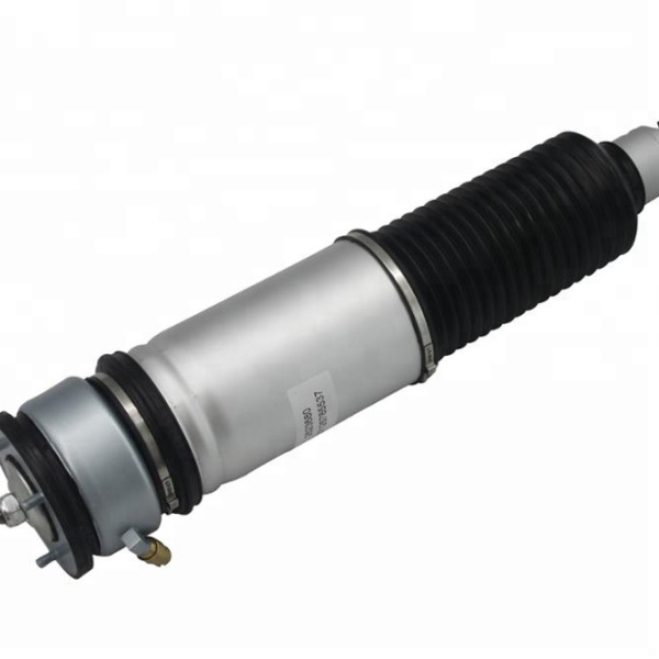 Air Suspension Shock BMW Without ADS Rear Left