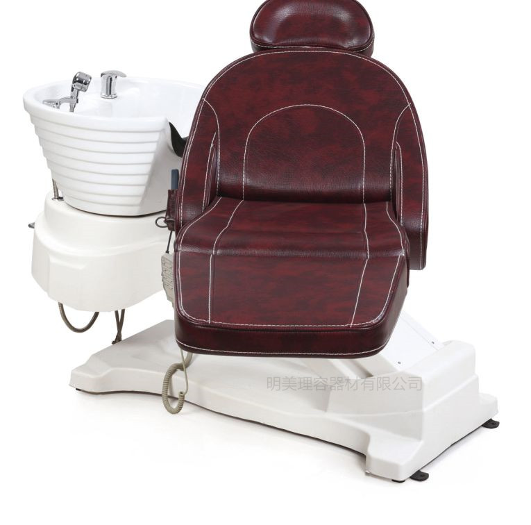 Salon Shampoo Chair