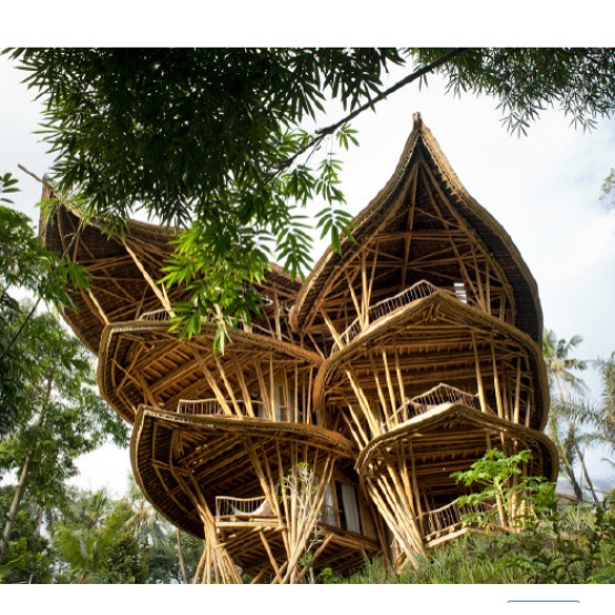 Proto ecological bamboo profiles