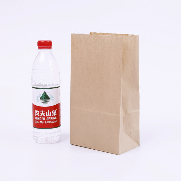 pla  environmental friendly paper bag
