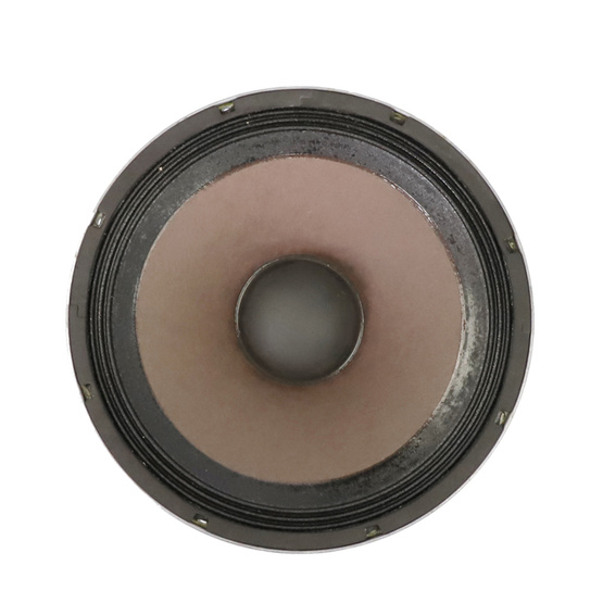 10inch  PA high quality Stage speaker