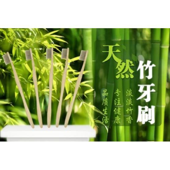 Eco-Friendly Natural Bamboo Toothbrush