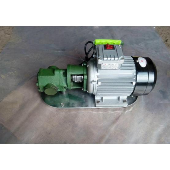 WCB portable stainless steel gear pump