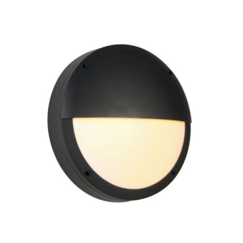 Exquisite Warm White 12W Outdoor Wall Light