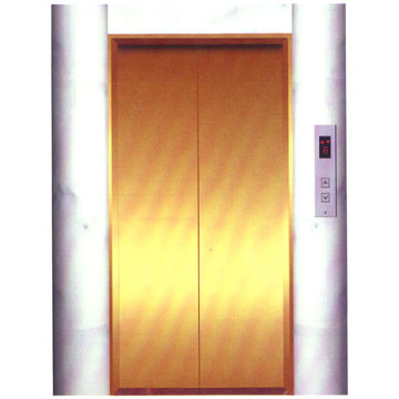 Center Opening Landing Door , Elevator Decoration