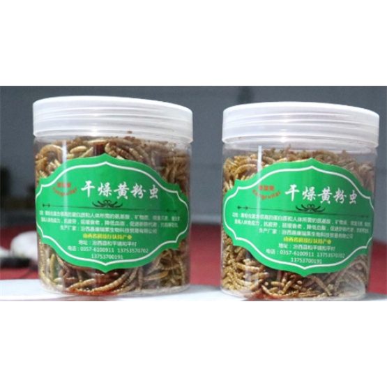 High Protein Yellow Mealworms Animal Food