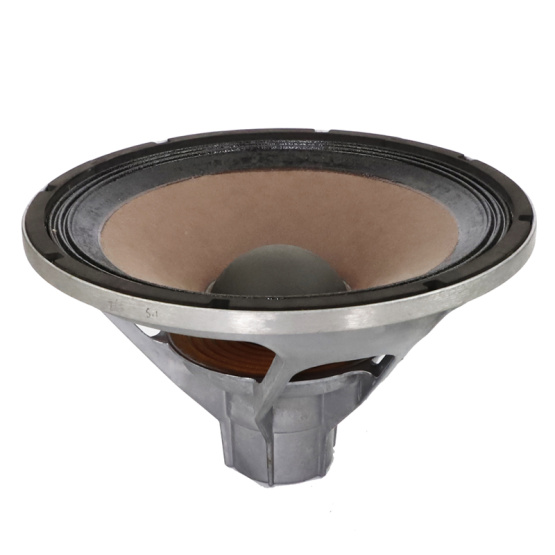 10inch  PA high quality Stage speaker