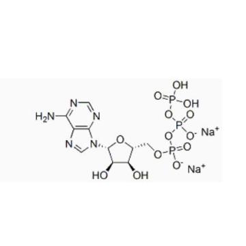 Adenosine 5'-triphosphate Disodium Salt CAS 987-65-5