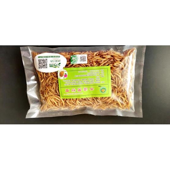 High Protein Mealworm for Export