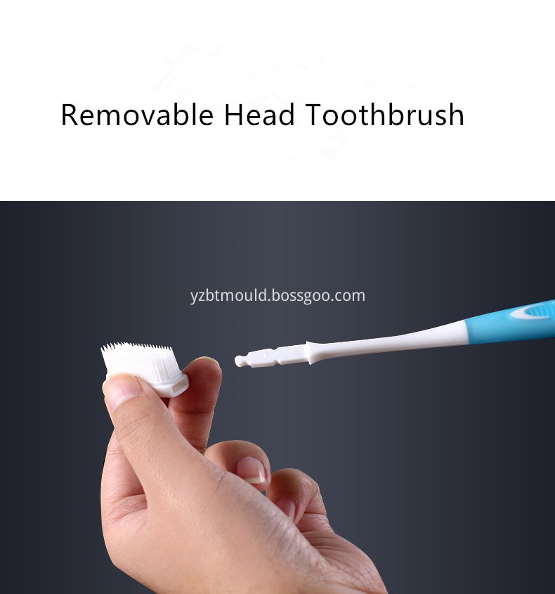 Removeable Head Antibacterial Adults Toothbrush