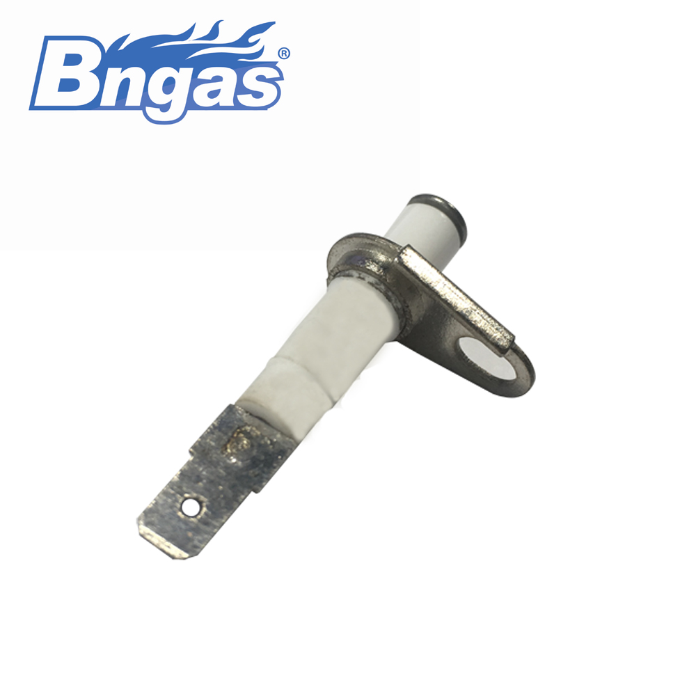 oven ignition electrode
