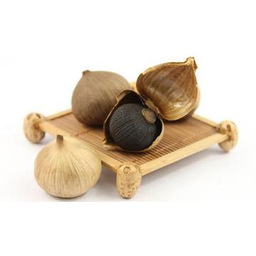 organic bulb black garlic for sale