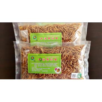 Mealworm rich in high quality protein
