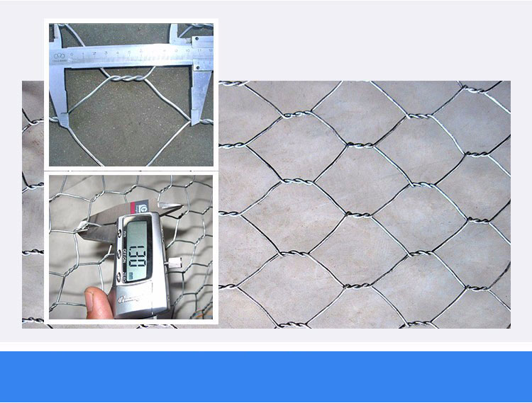 Hexagonal Wire Mesh