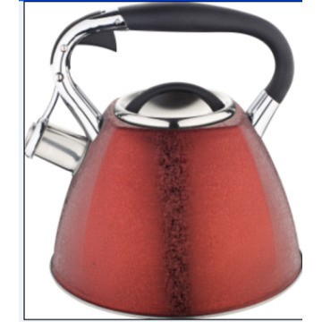 Stainess steel Water kettle with ice flower