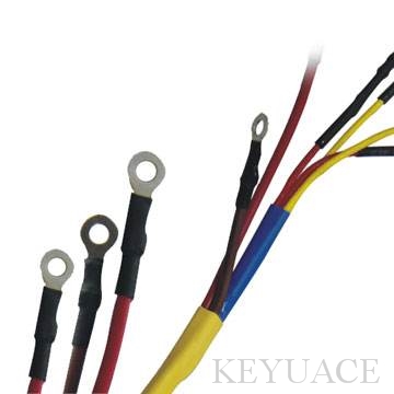 Automobile Wire Harness