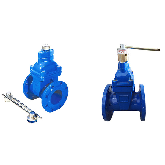 Resilient    gate valve