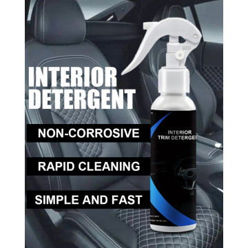 Liuid Cleaning Interior of Car