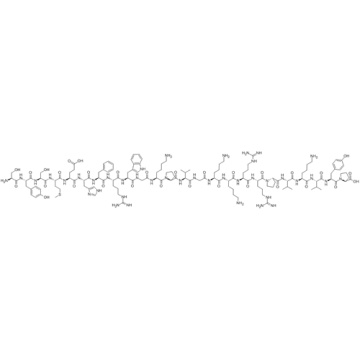 Cosyntropin CAS 16960-16-0