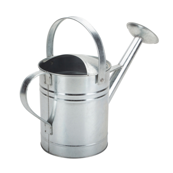 Homemade Galvanized Metal Watering Can Decorative