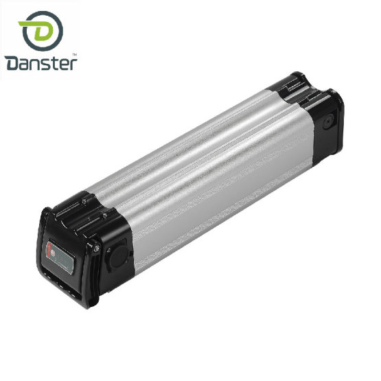 Silver fish rechargeable battery