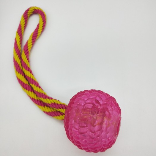 TPR Ball with Rope