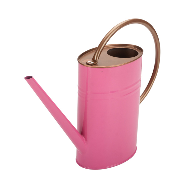 Pretty Pink Watering Can Flower Pot