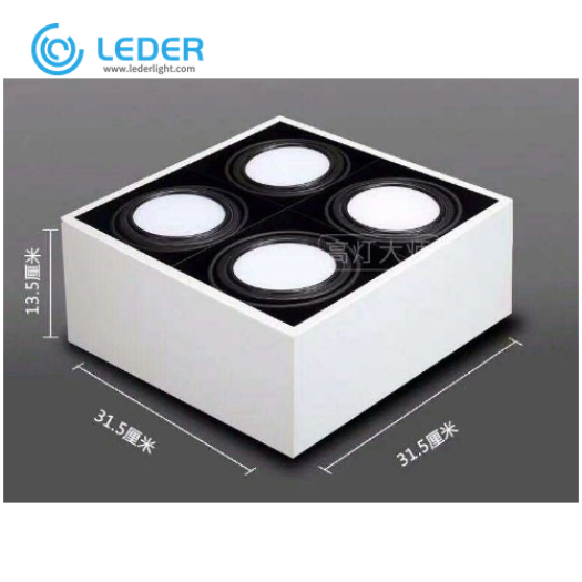 LEDER Dimmable Concealed installation LED Downlight