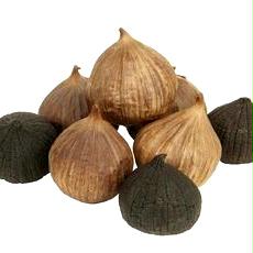 solo black garlic