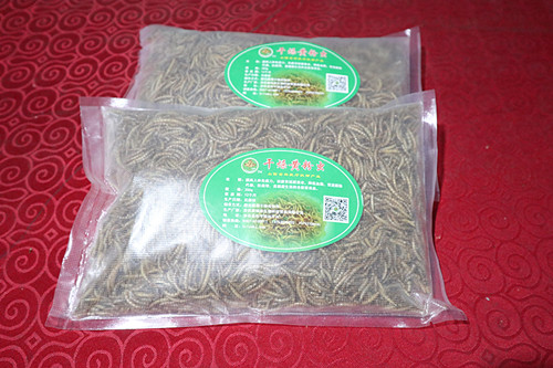 Dried Yellow Mealworms