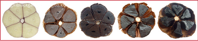 black garlic seed