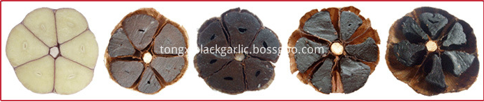 black garlic