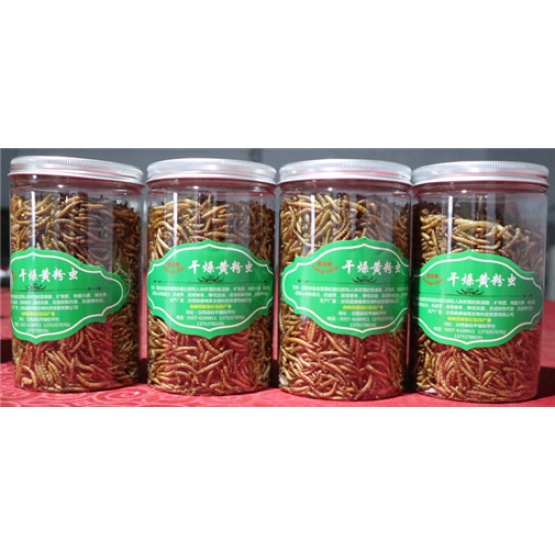 High Protein Freeze Dried Mealwormd Feed