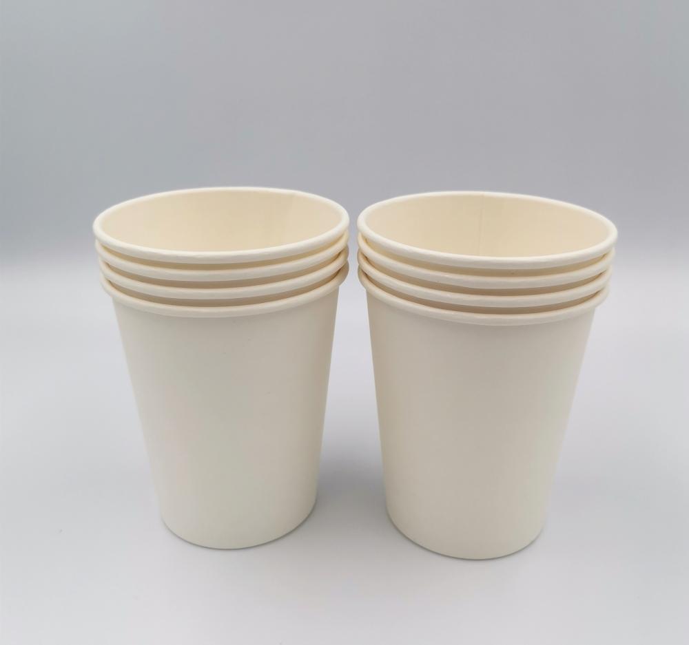 PLA Compostable Paper Drinking Cup