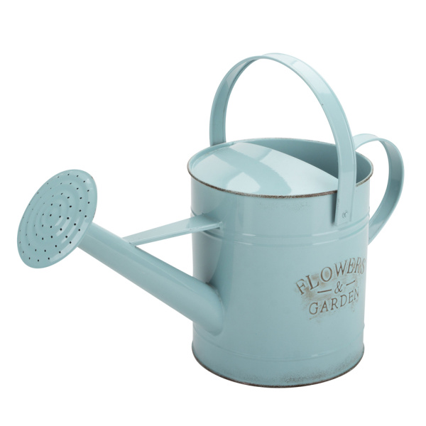 Child's Watering Can for Indoor Plants for Bonsai