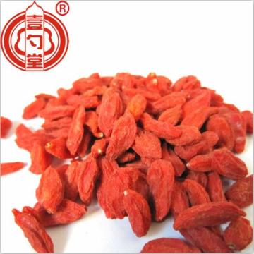 The Red Goji Berries Dried Fruit
