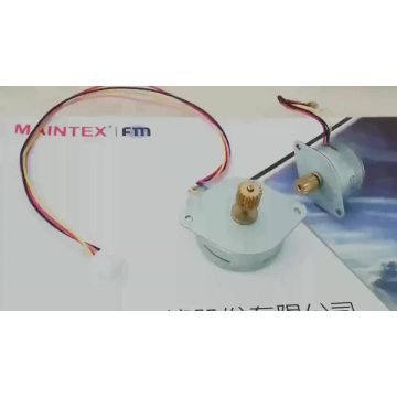 PM Bipolar Step Motor For Electronic scale