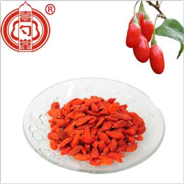 The Super Food Nutrition Dried Goji Berry