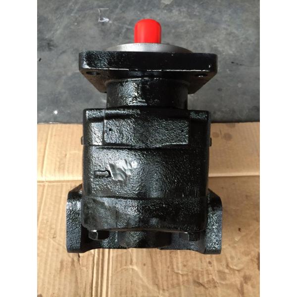 Terex tr50 hydraulic hoist pump 20028983