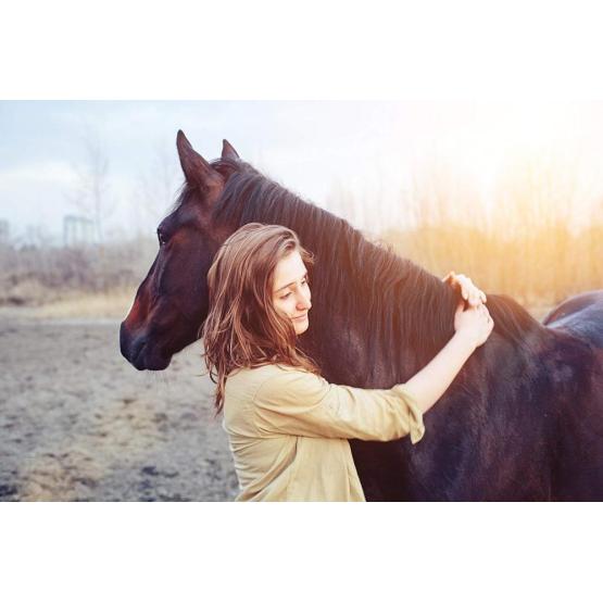 Sheepskin Halter Set Lambskin Bridle Cover