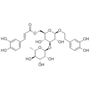 Isoacteoside CAS 61303-13-7