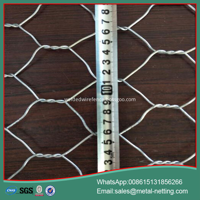 Hexagonal Wire Mesh Net