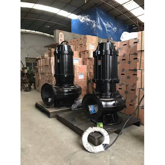 QW submersible sewage pump