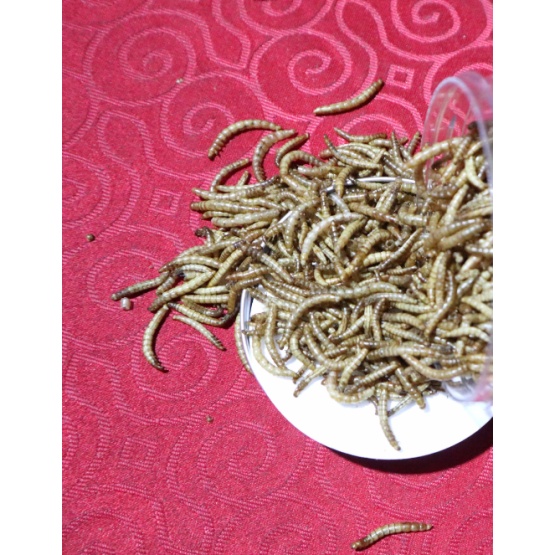 Bird Food Mealworm Dry Food For Pet