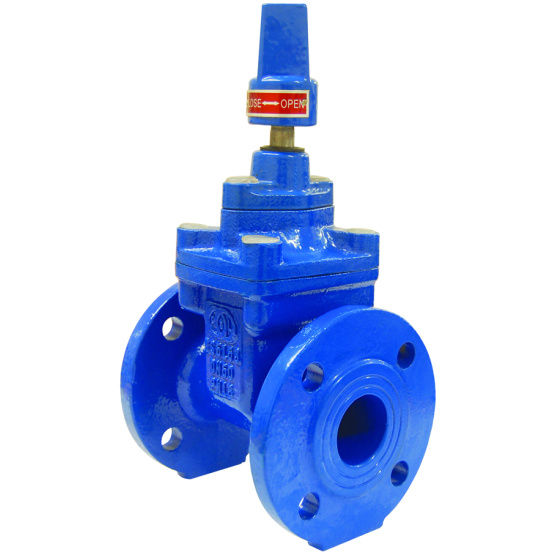 BS Resilient seated gate valve