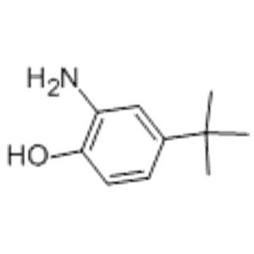 2-Amino-4-tert-butylphenol CAS 1199-46-8