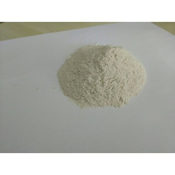 Super heat stable granular / powder phytase