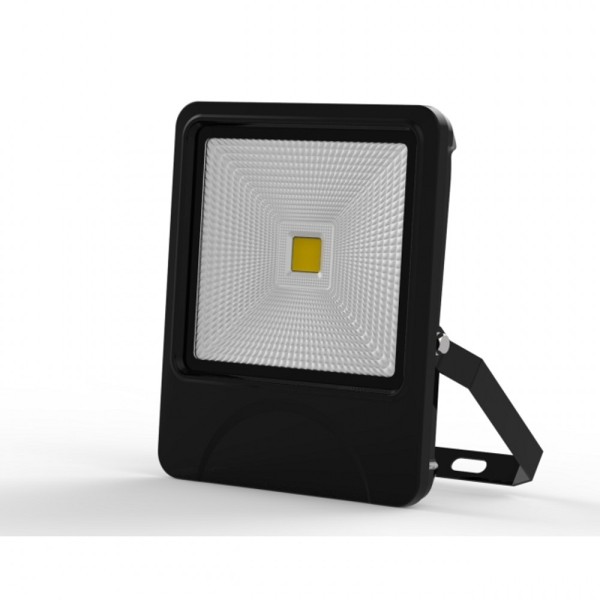 Private Mould 50W COB Outdoor LED Flood Light